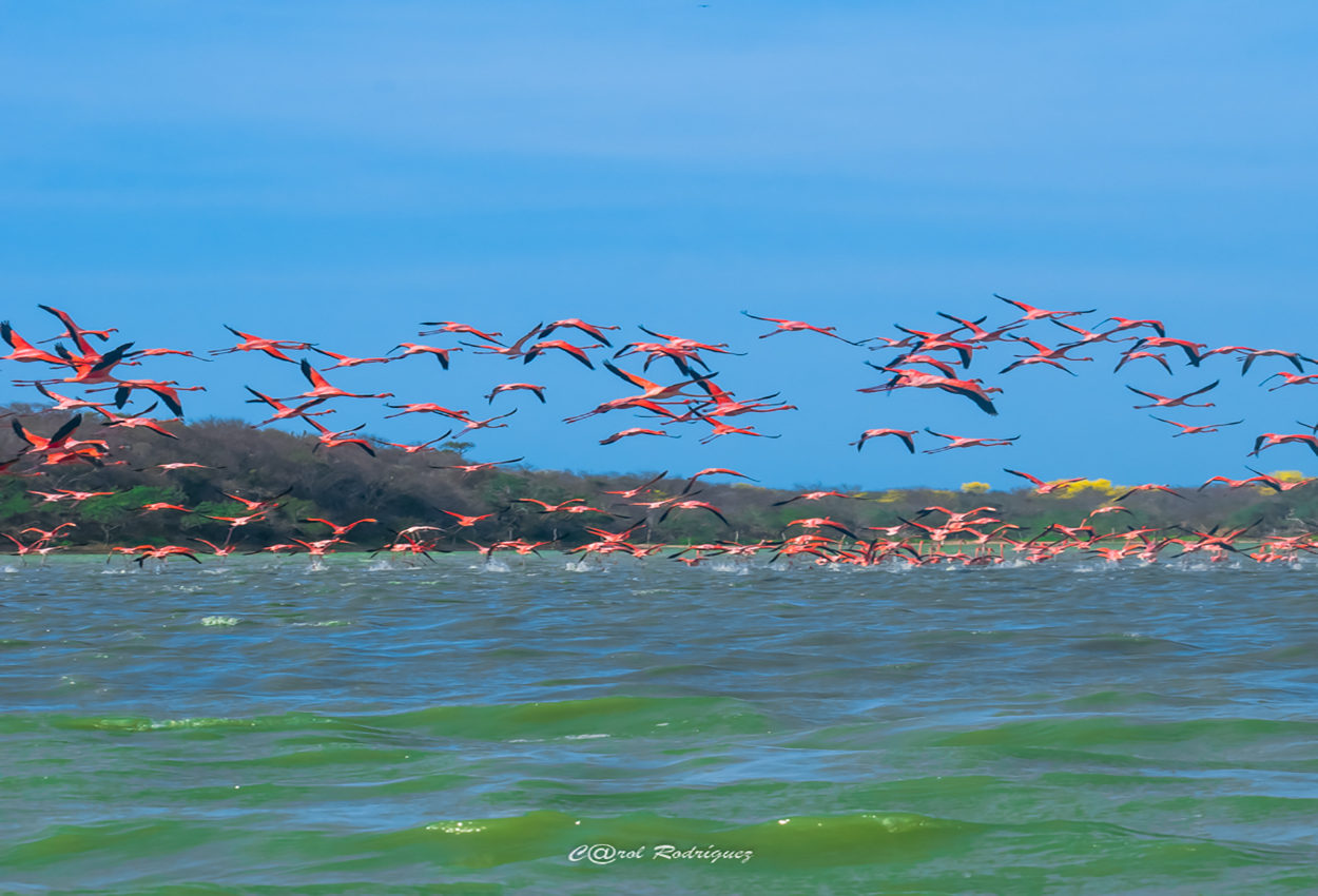 La Guajira, Punta de gallinas con las dunas del Taroa son lugares mágicos