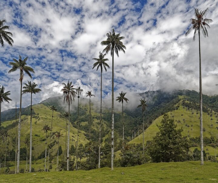 Eje Cafetero - Quindío