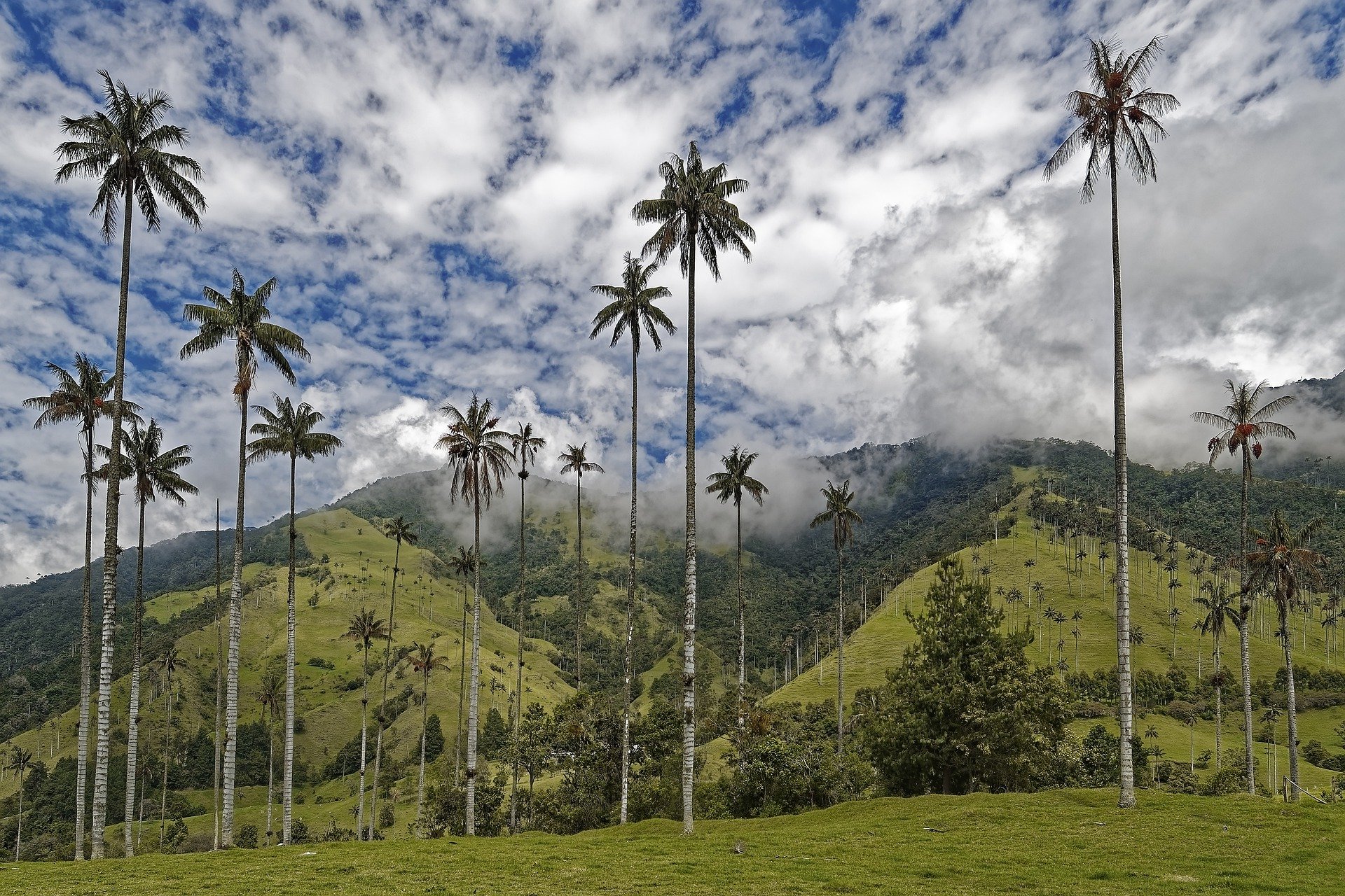 Eje Cafetero - Quindío